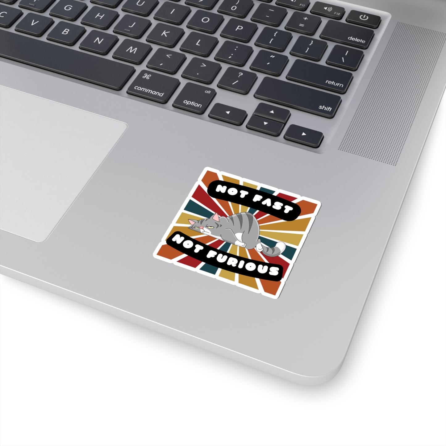 Not Fast Not Furious Sticker