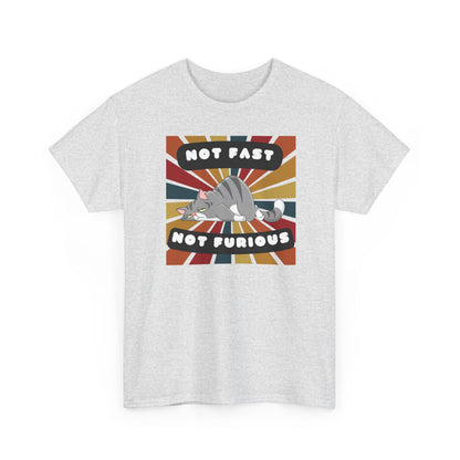 Not Fast Not Furious