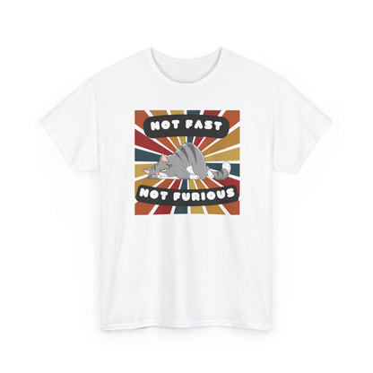 Not Fast Not Furious