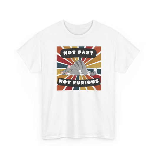 Not Fast Not Furious