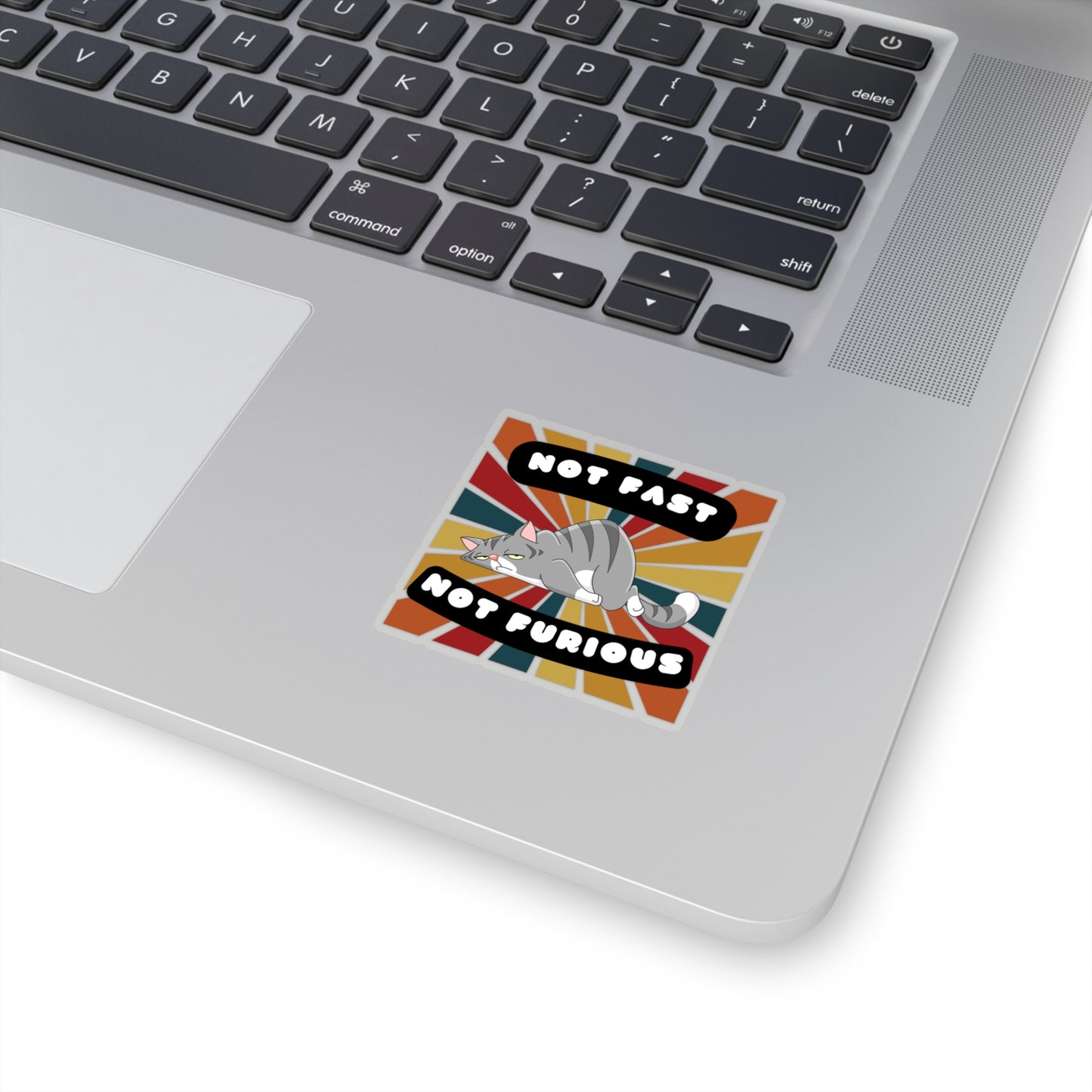 Not Fast Not Furious Sticker