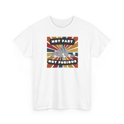 Not Fast Not Furious