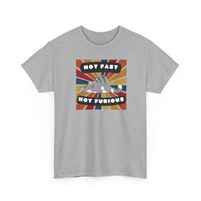 Not Fast Not Furious