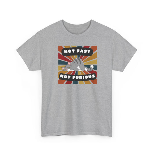 Not Fast Not Furious