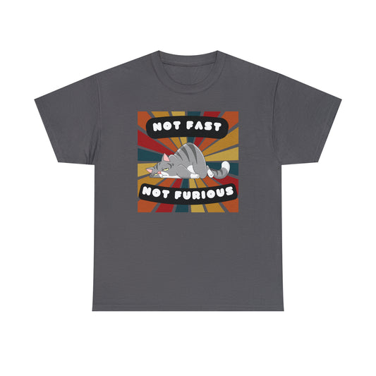 Not Fast Not Furious